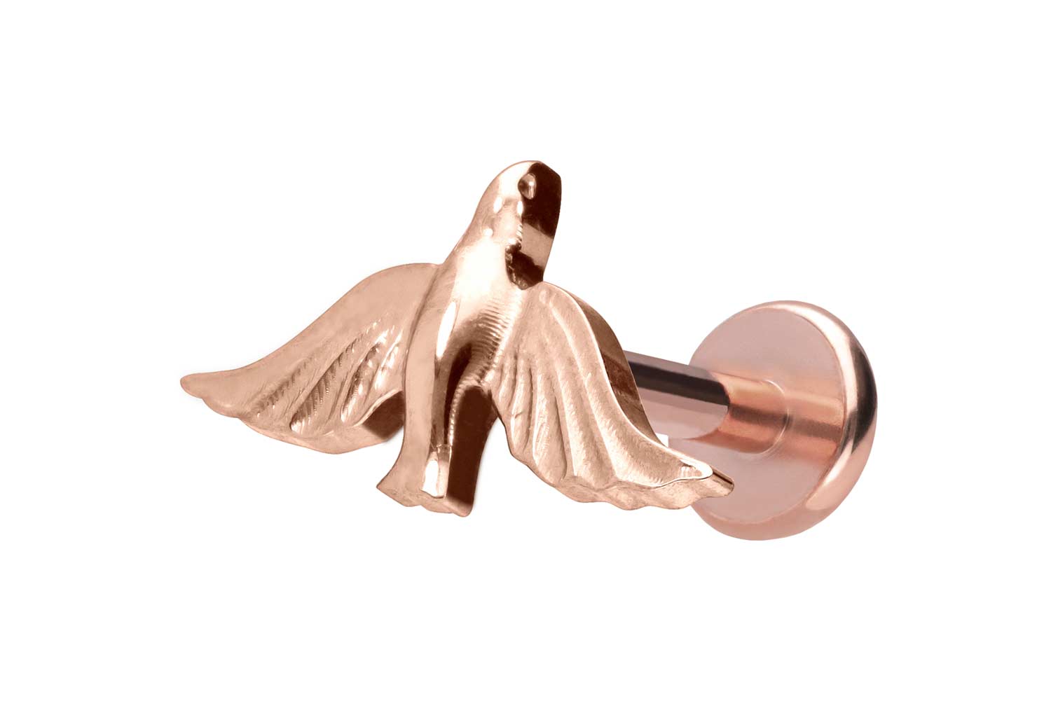 Titan Labret Piercing mit Push Fit TAUBE